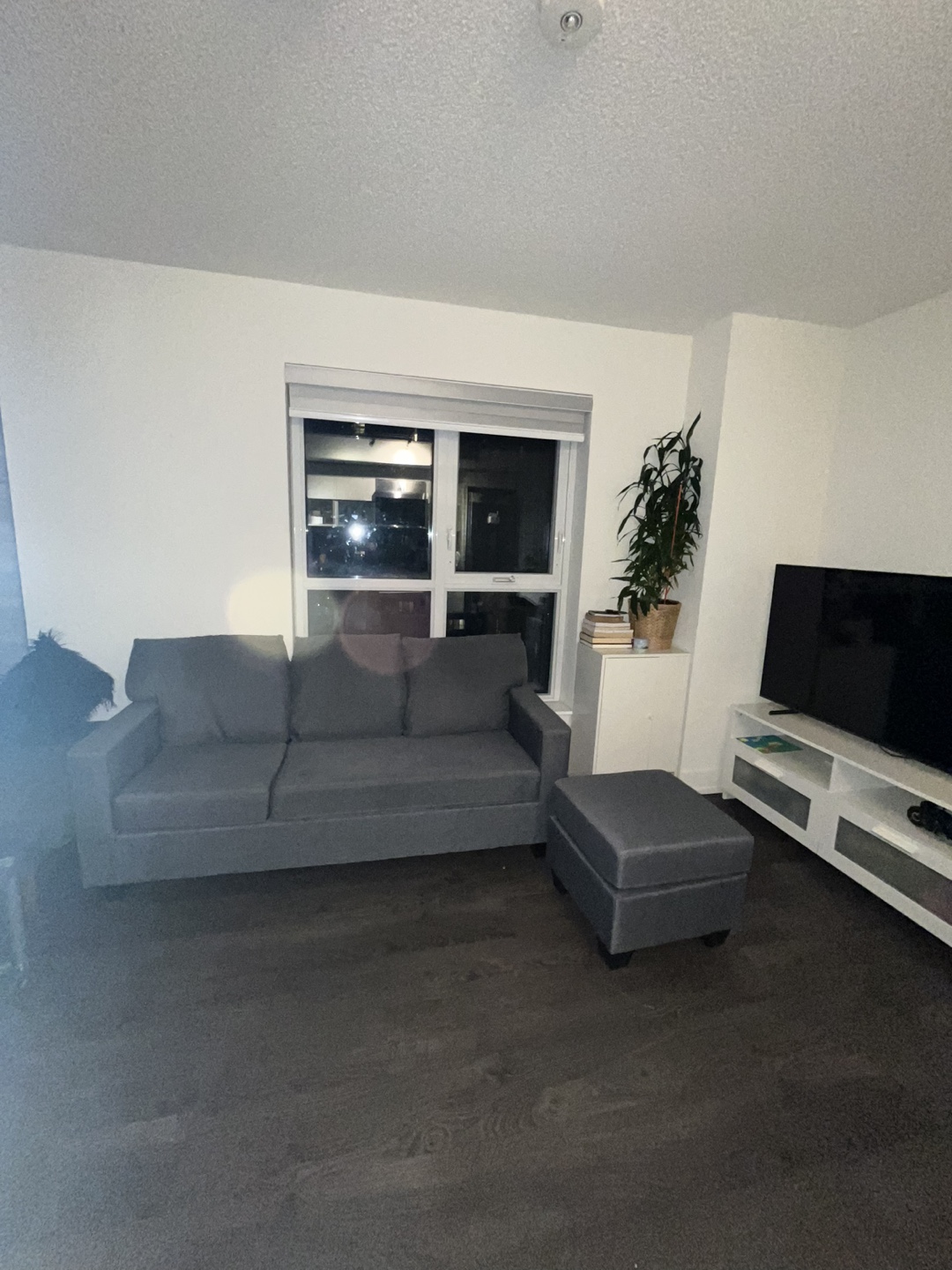 Grey Sectional Sofa with Ottoman - photo 3