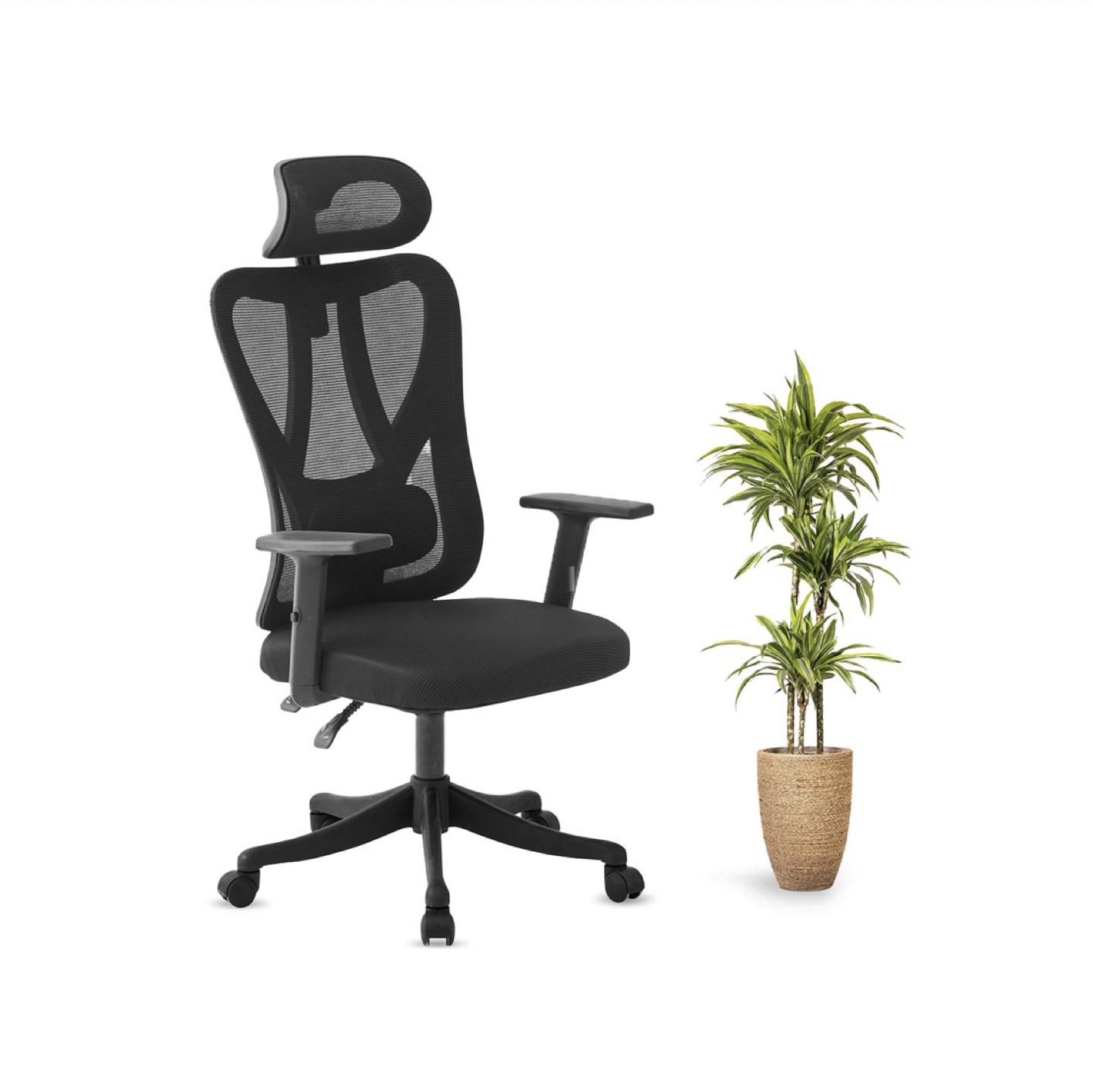 Ergonomic Office Chair, Adjustable, Lumbar Support