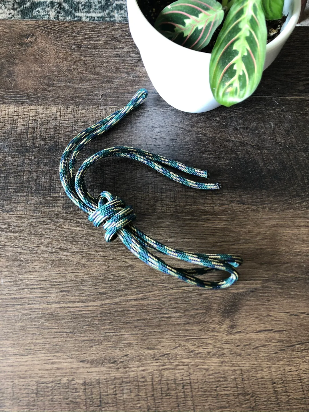 Climbing Rope thumbnail