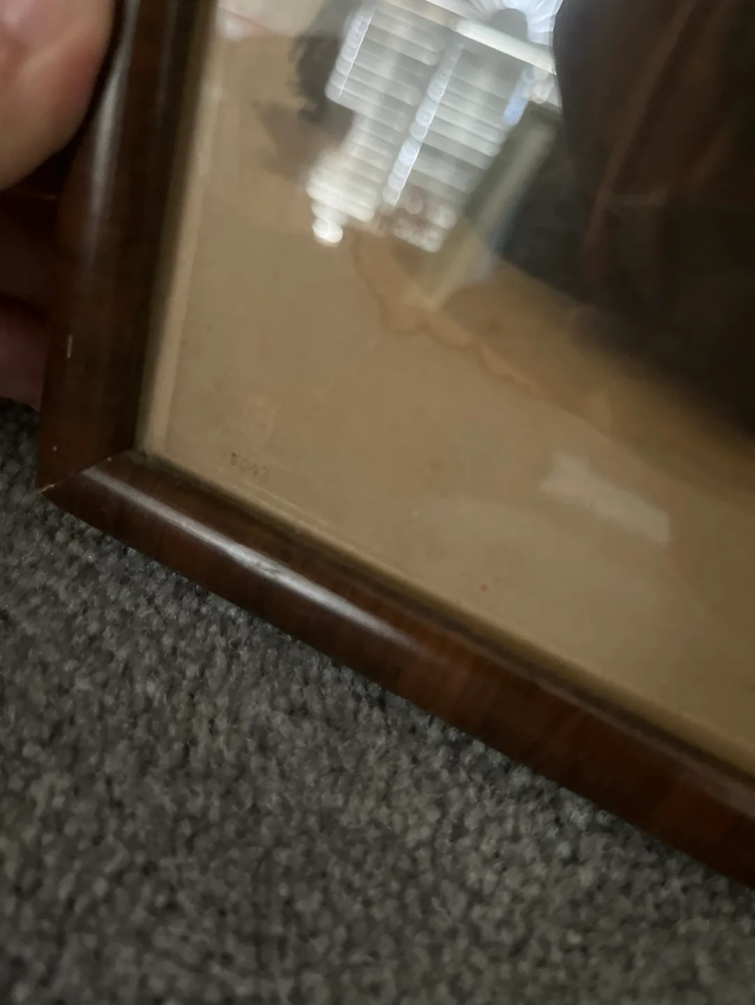 Framed Vintage Photograph by Lehnert & Landrock image indicator(2)