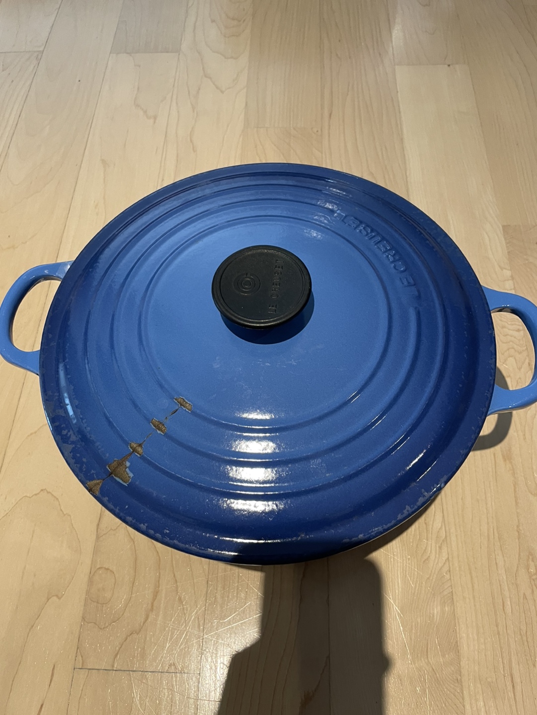 Free* Le Creuset Dutch Oven 26 with burnt bottom