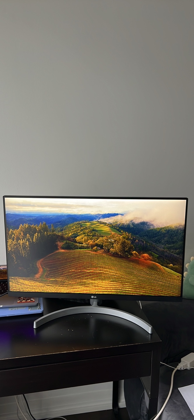 LG 27-inch Monitor