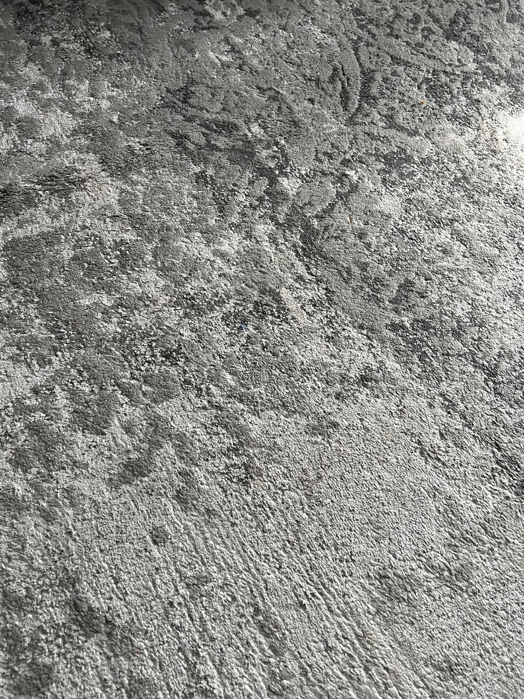 Gray and White Area Rug