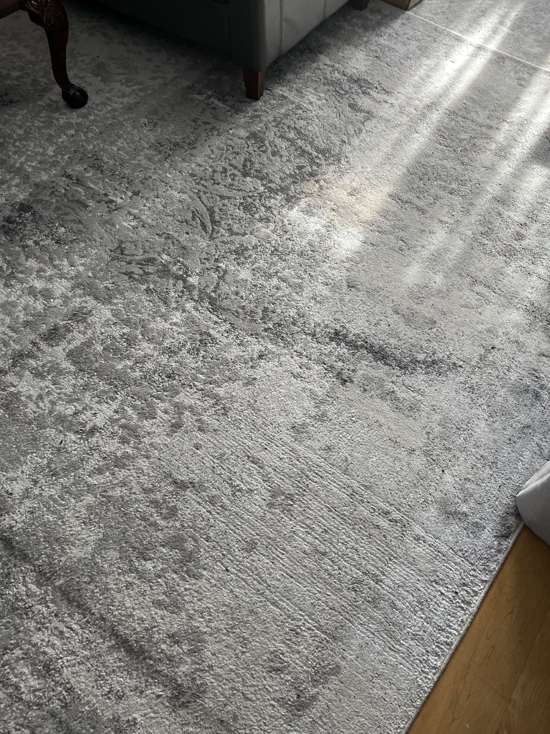 Gray and White Area Rug - photo 3
