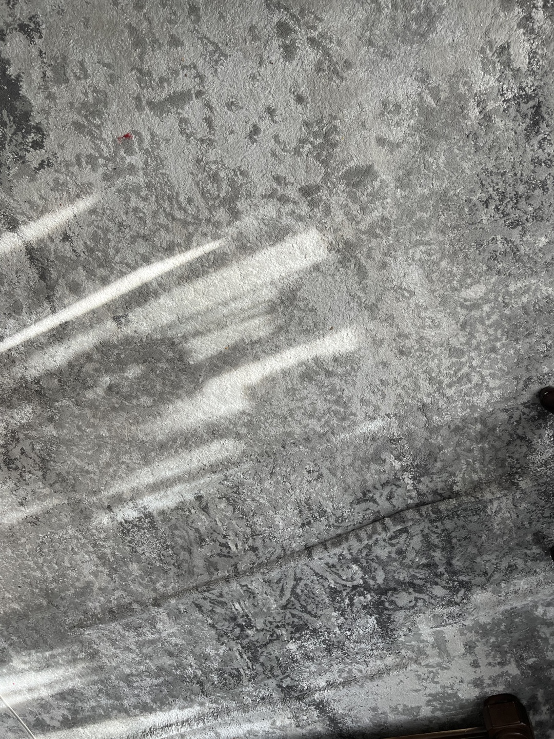 Gray and White Area Rug - photo 2