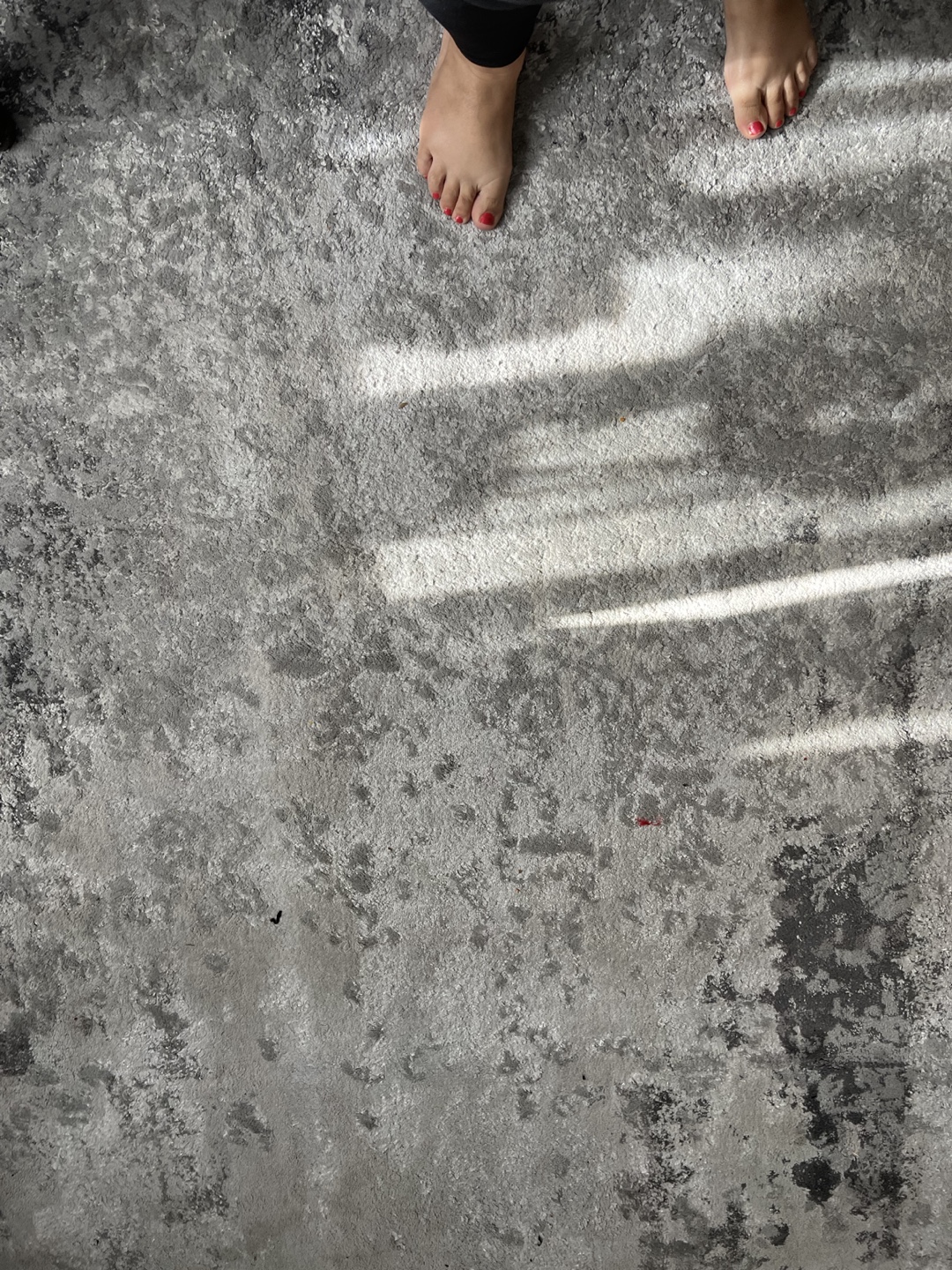Gray and White Area Rug - photo 4