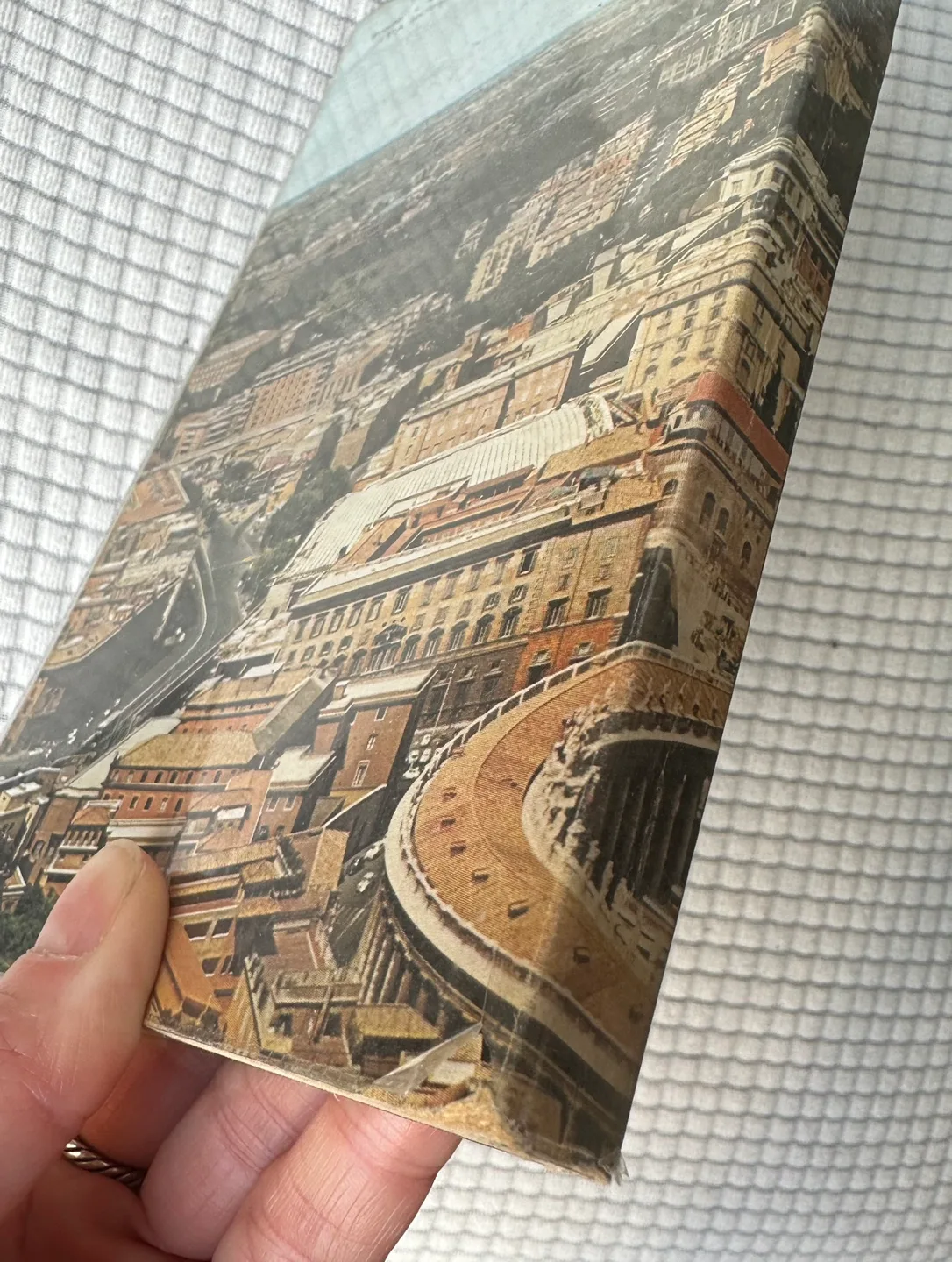 Rome: A Complete Guide for Visiting the City #freecycle image indicator(8)