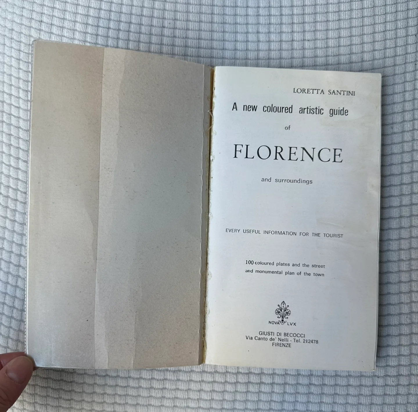 Florence: New Practical Guide in Color #freecycle image indicator(2)