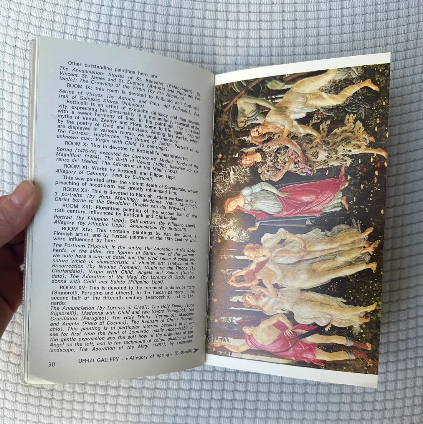 Florence: New Practical Guide in Color #freecycle image indicator(4)