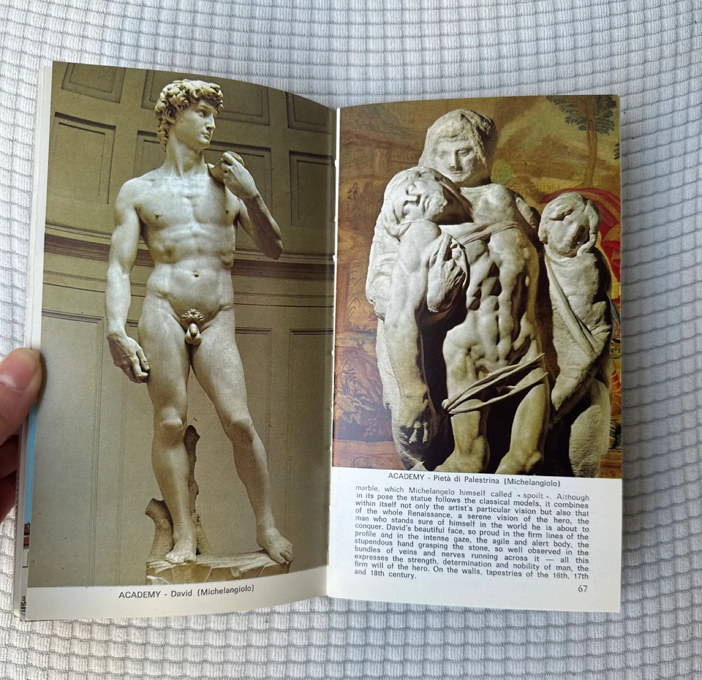 Florence: New Practical Guide in Color #freecycle image indicator(5)