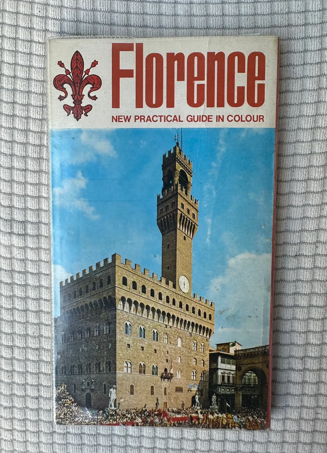 Florence: New Practical Guide in Color #freecycle image indicator(7)