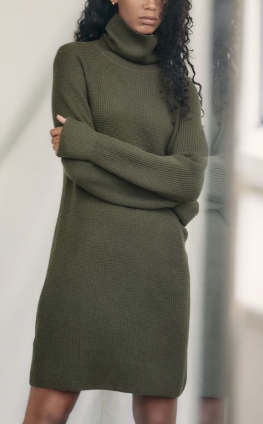 Wilfred Free Waffle Knit Turtleneck Dress
