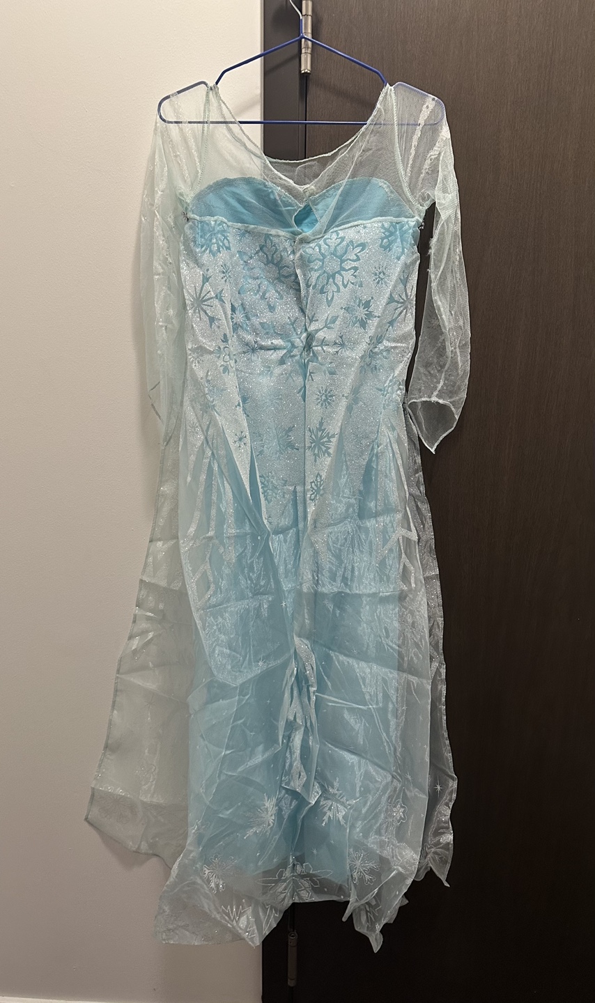 Women’s Elsa Costume + Wig - photo 3