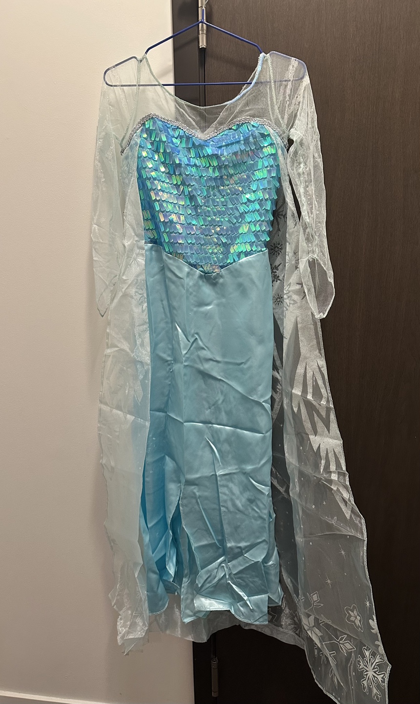 Women’s Elsa Costume + Wig - photo 2