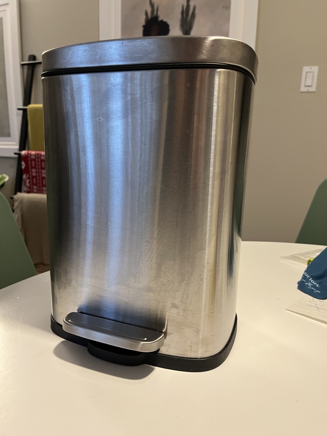 Stainless Steel Step Trash Can