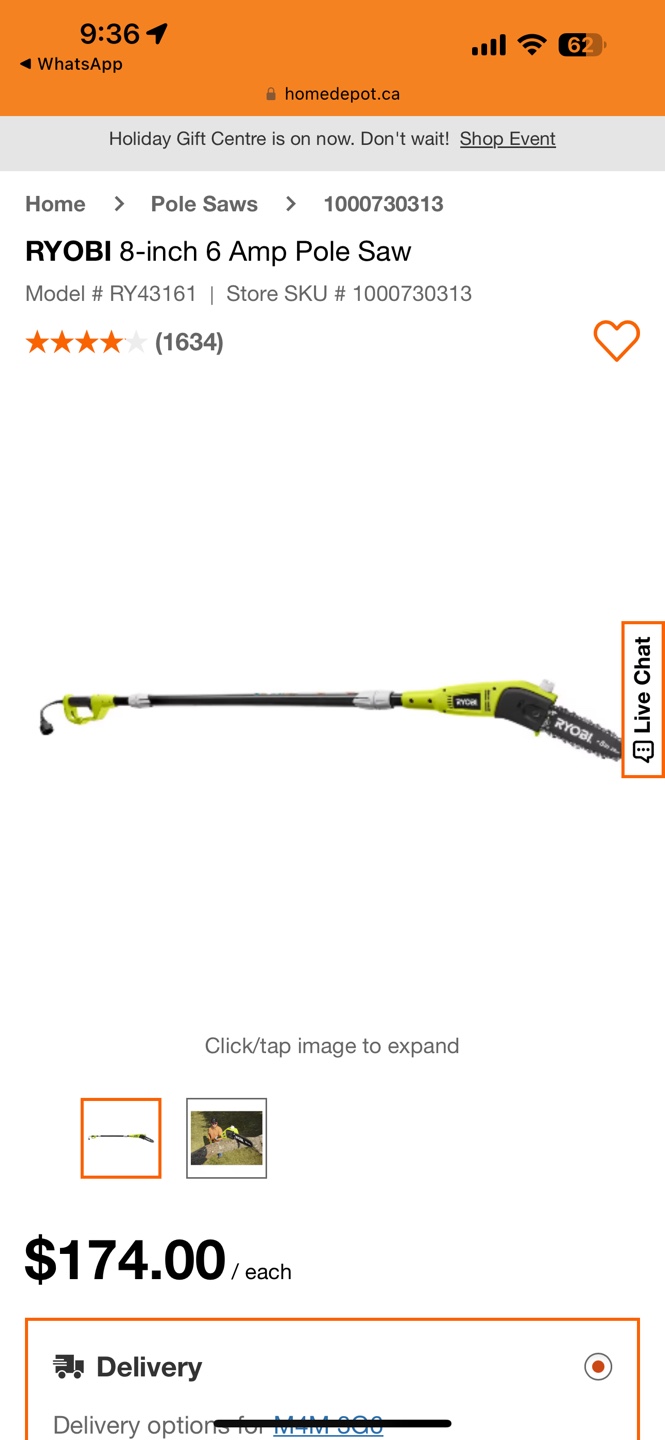RYOBI 8-inch 6 Amp Pole Saw