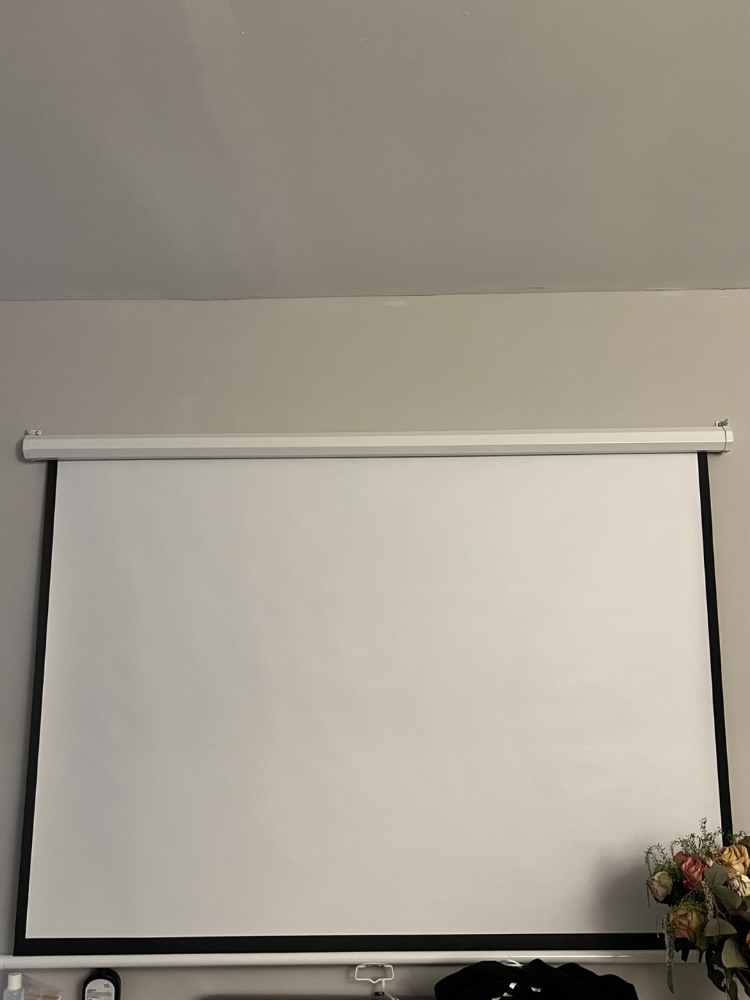 Projector Screen - photo 2