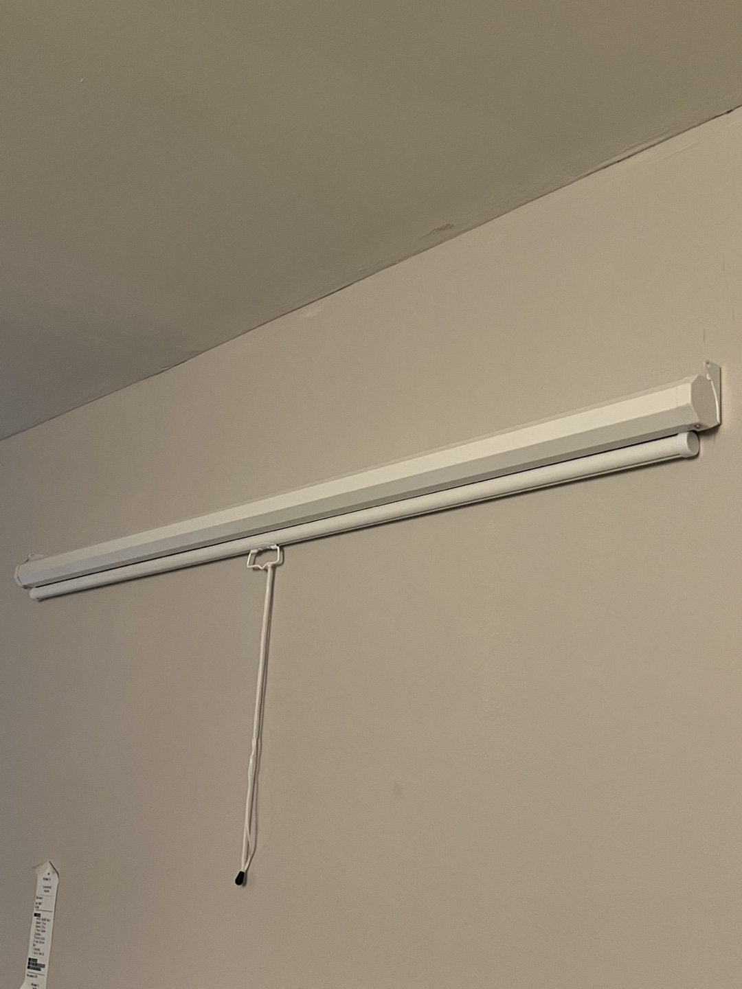 Projector Screen