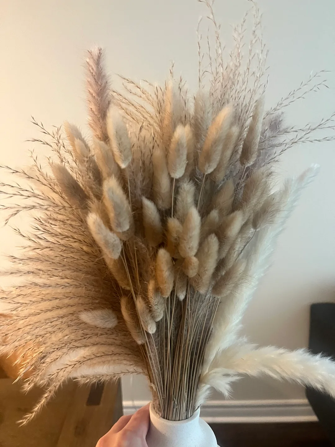 Dried Pampas Grass thumbnail