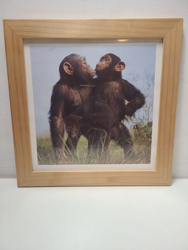 IKEA Picture Frame with Chimpanzee Photo thumbnail