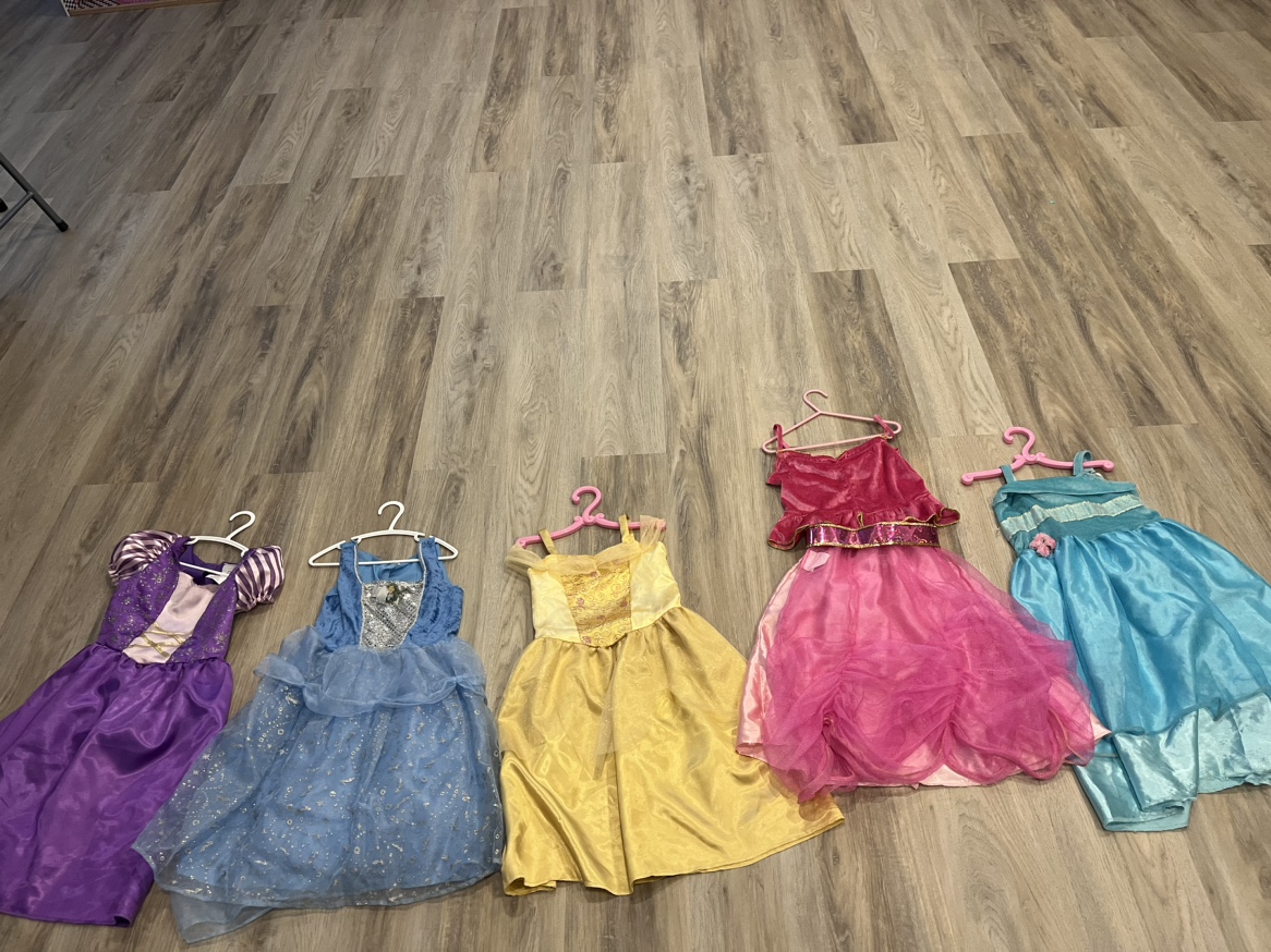 Disney Princess Dress-Up Wardrobe