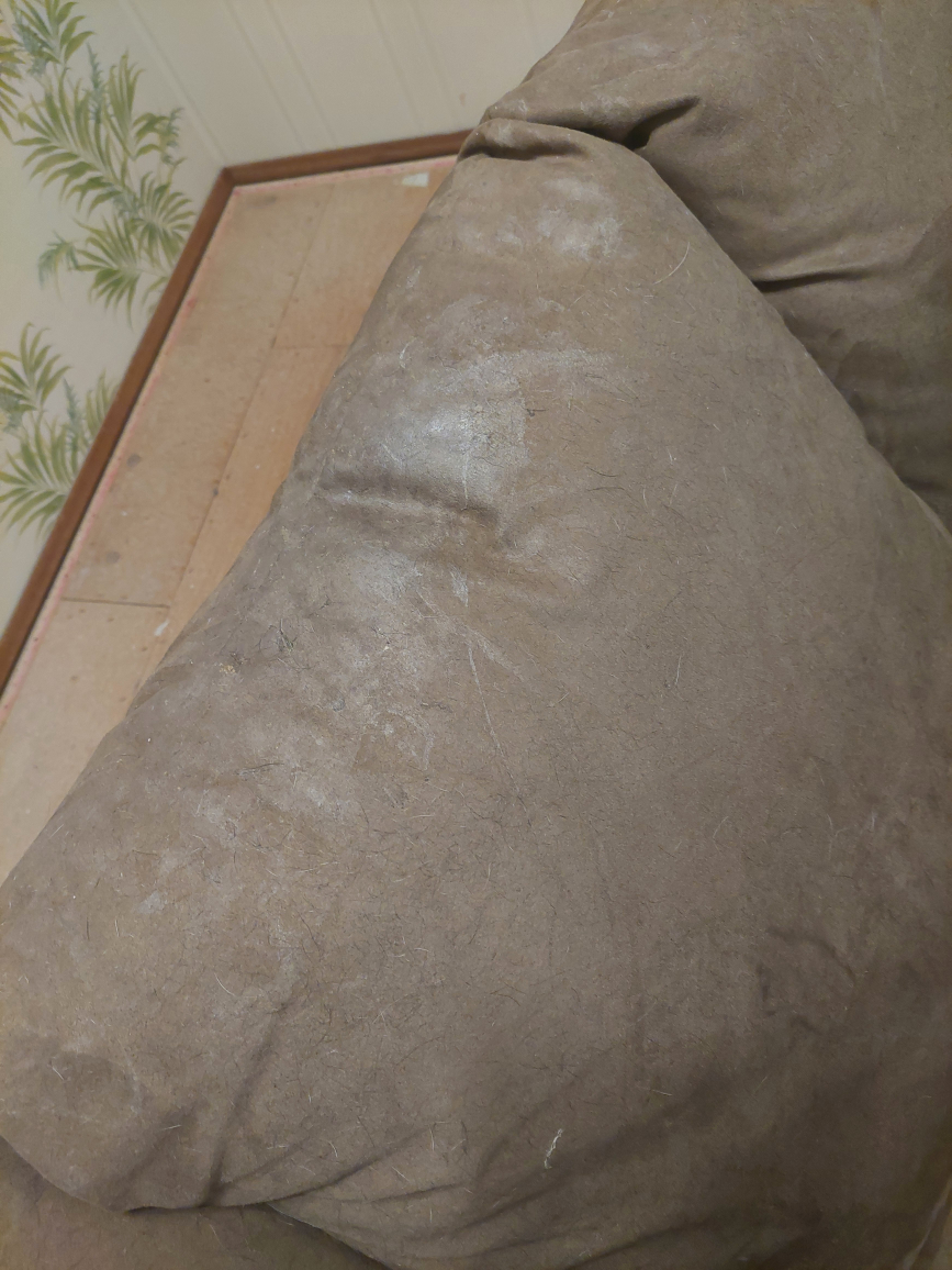 Free couch / sofa  #freecycle - photo 2