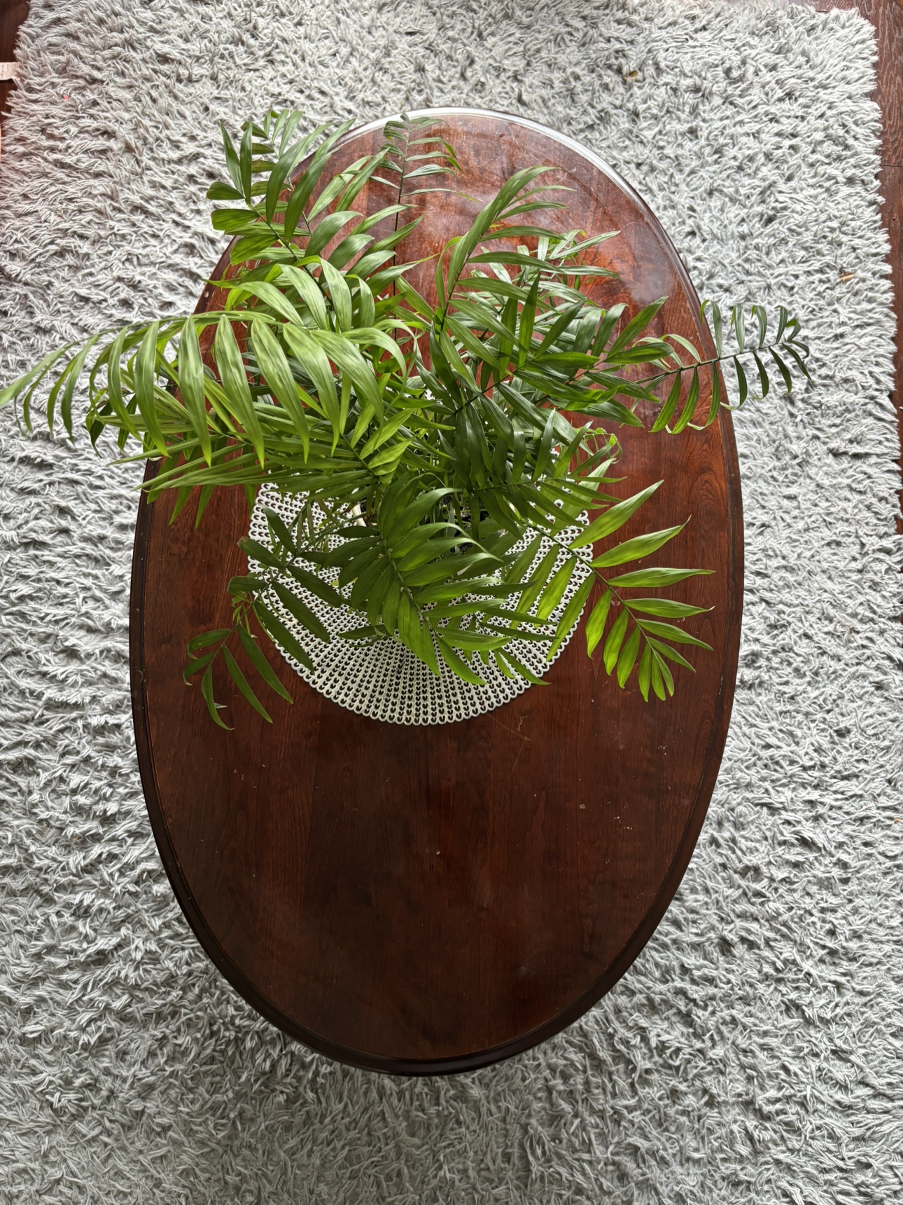 Oval Coffee Table - photo 3