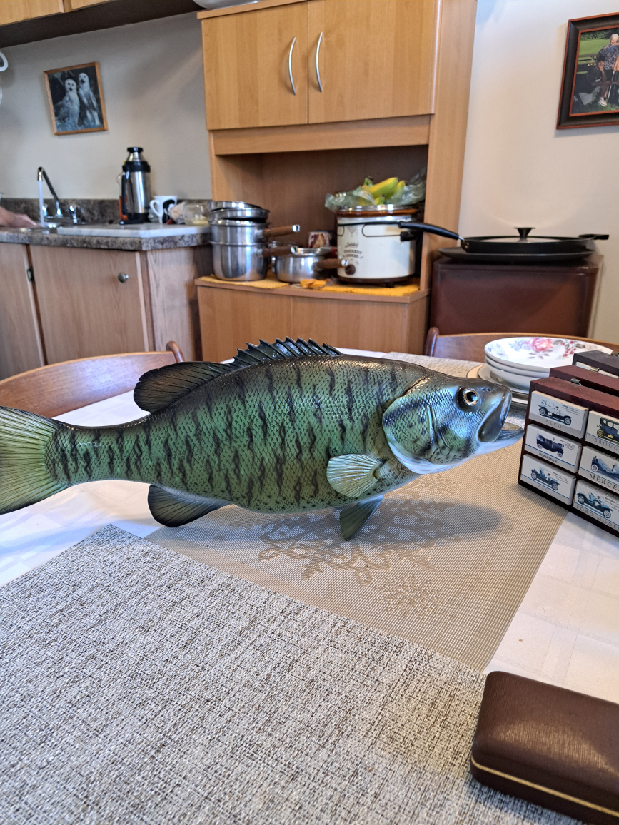 Large Bass Fish Wall Mount