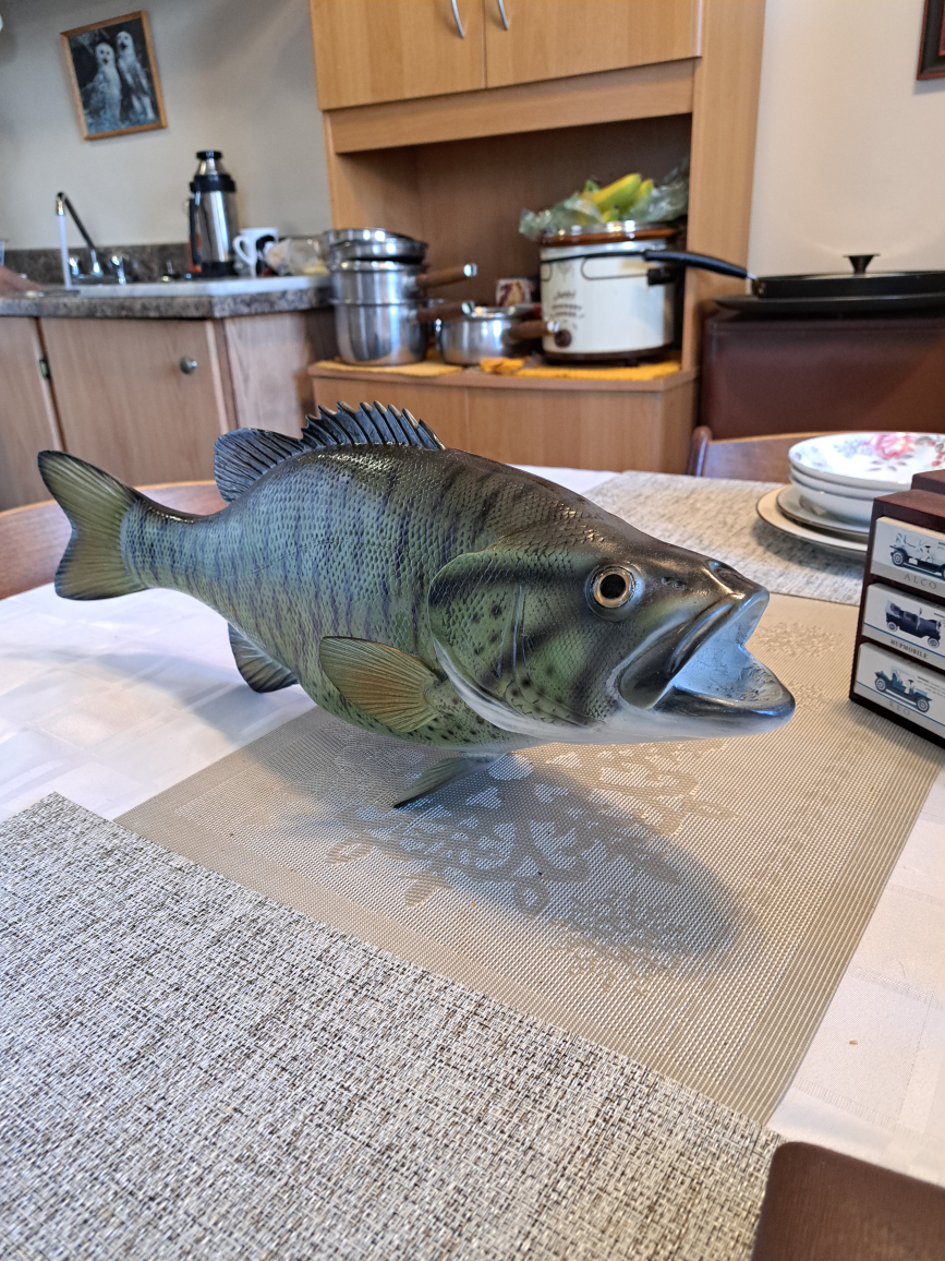 Large Bass Fish Wall Mount - photo 2