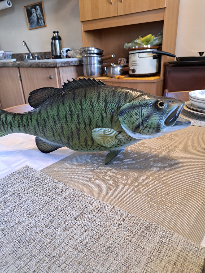 Large Bass Fish Wall Mount - photo 3