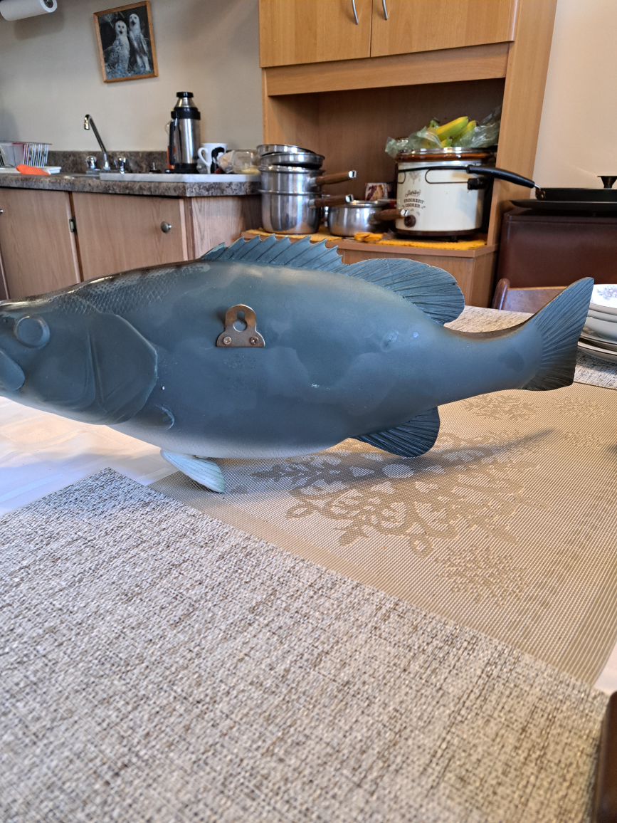 Large Bass Fish Wall Mount - photo 4