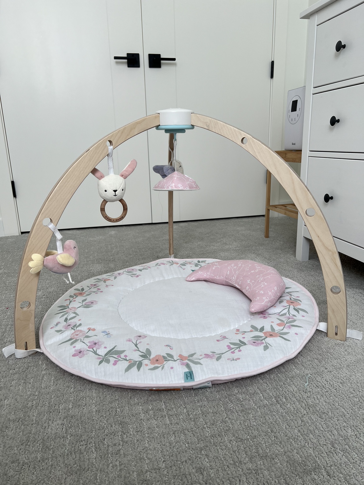 aden + anais baby play and discover activity gym - photo 2