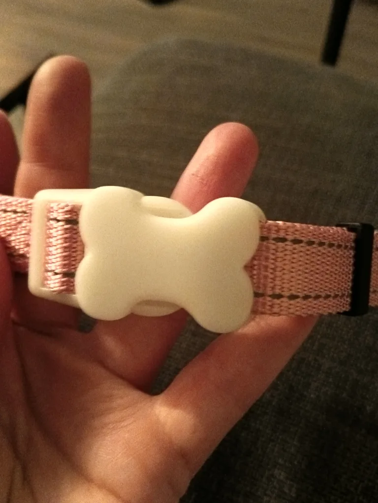 Dog Collar with Quick Release Buckle image indicator(7)