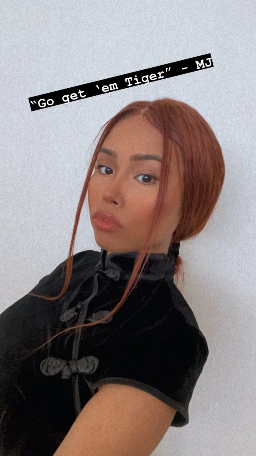 Real Human Hair Lace Front Wig image indicator(5)