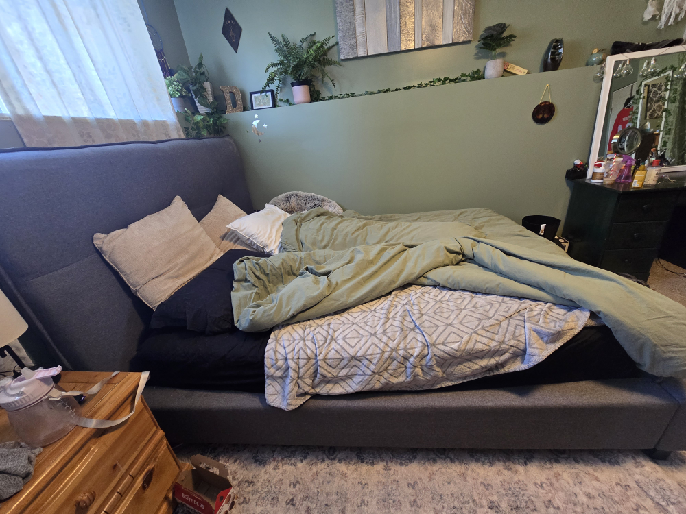 Queen Size Bed Frame