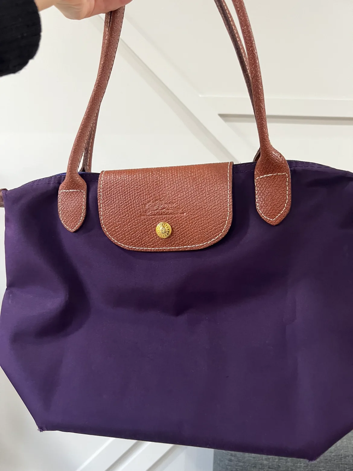 Longchamp Le Pliage Tote Bag image indicator(2)