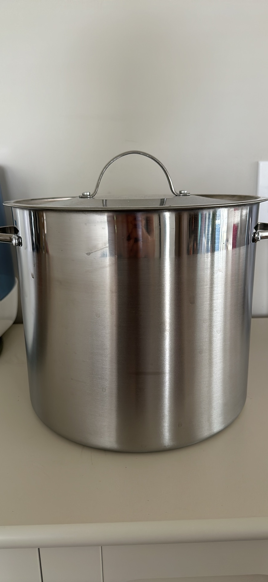 Stainless Steel Pot with Lid