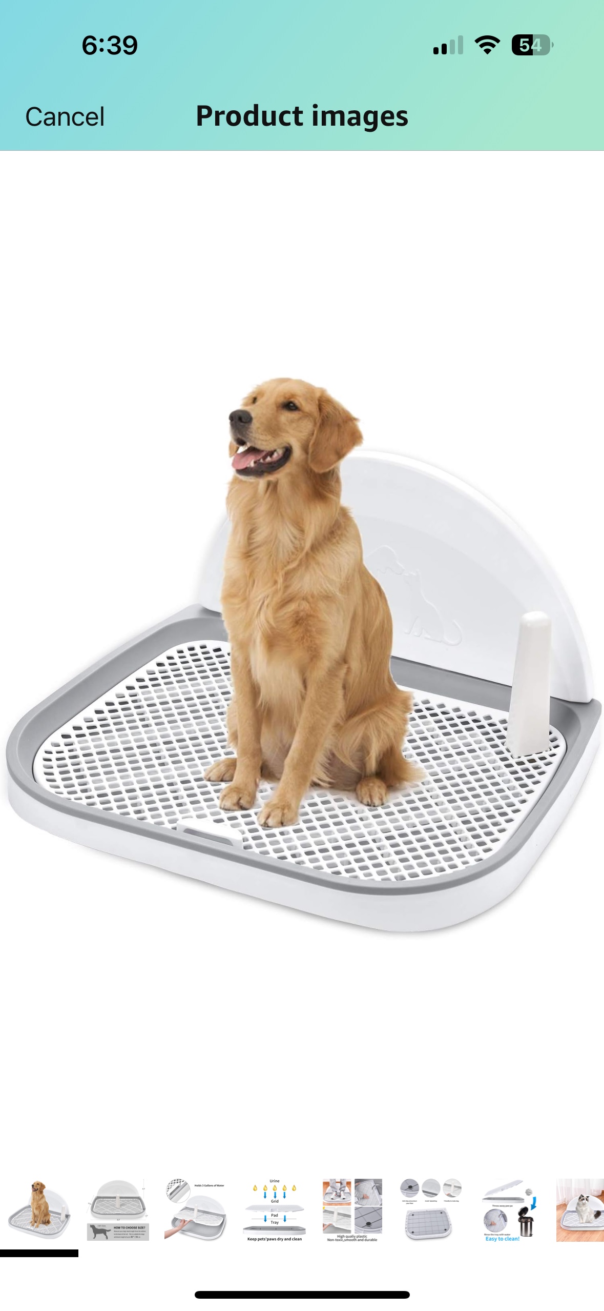 Dog toilet