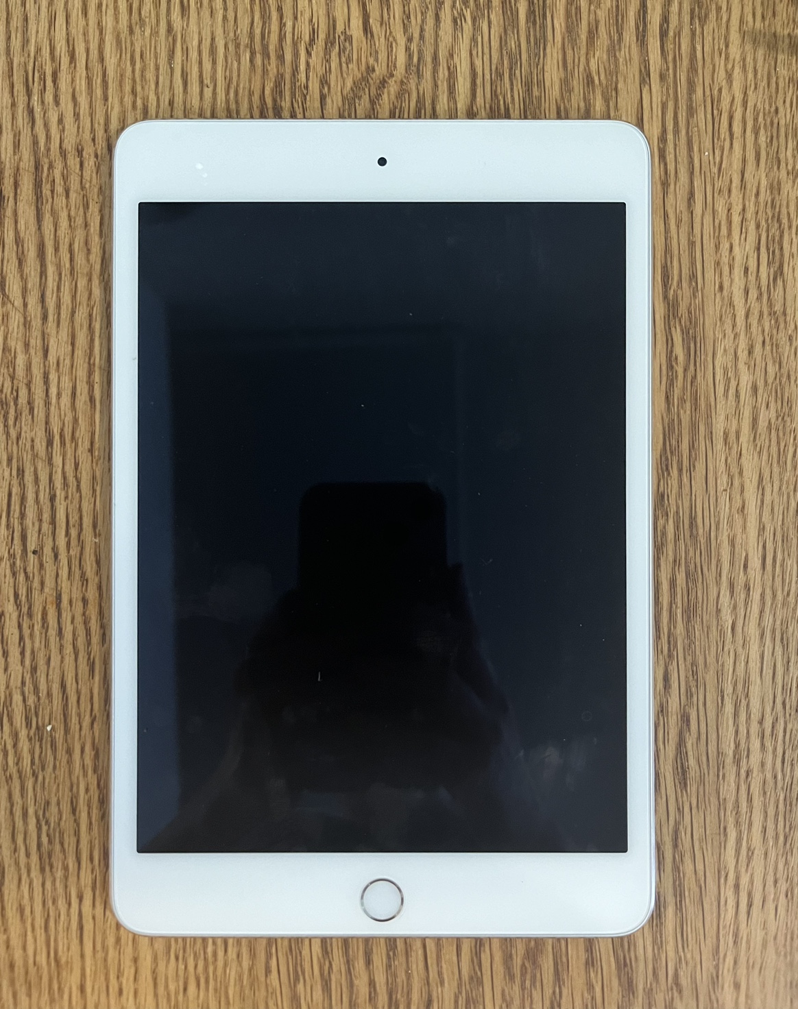 iPad Mini 2 128GB