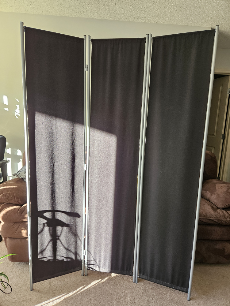 2 Black Room Divider