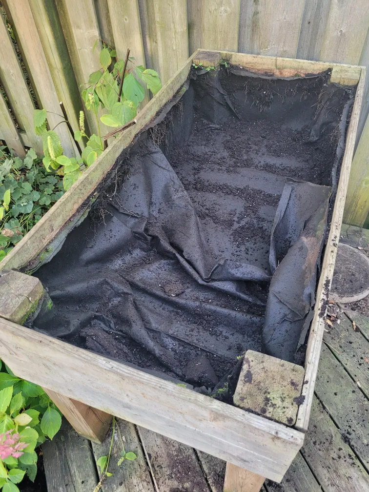 Raised Garden Bed - herbs image indicator(3)