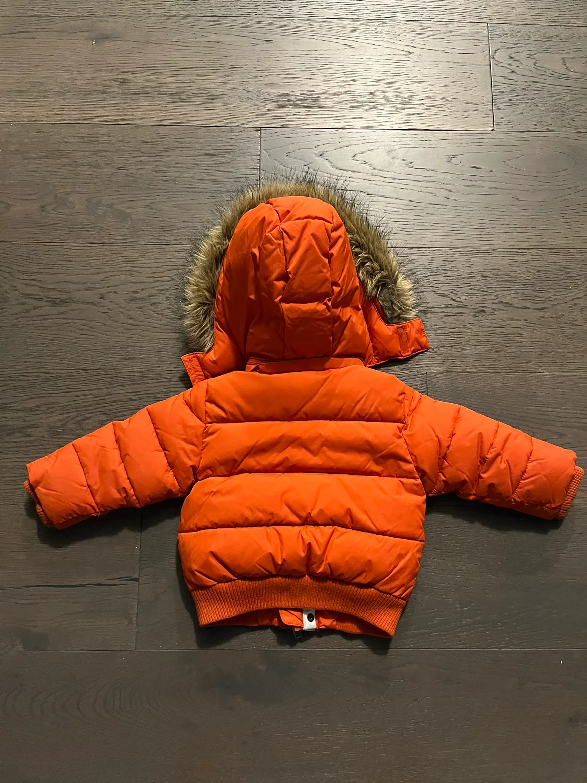Tommy orange kids winter jacket 12-18M EUC Ret $200 image indicator(4)