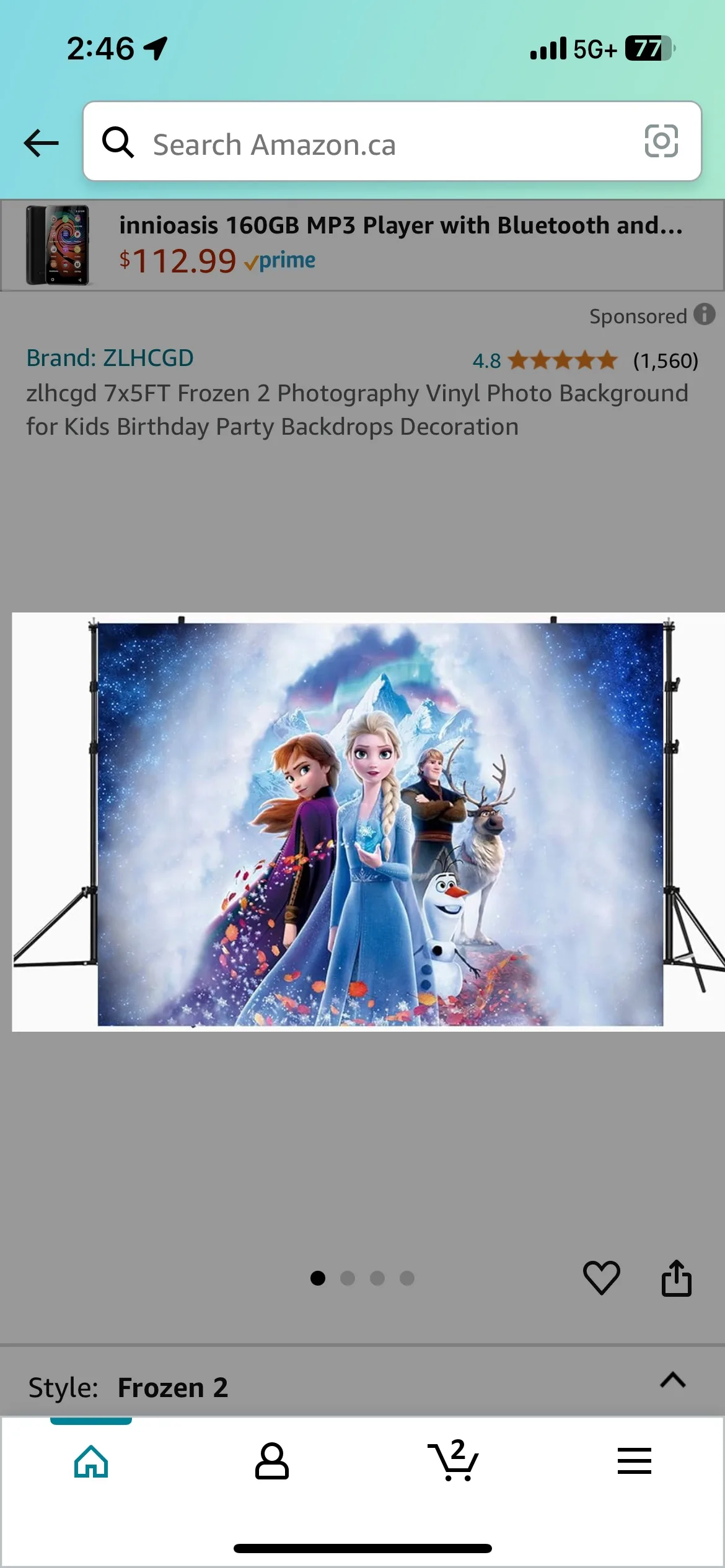Frozen 2 Photo Backdrop image indicator(2)