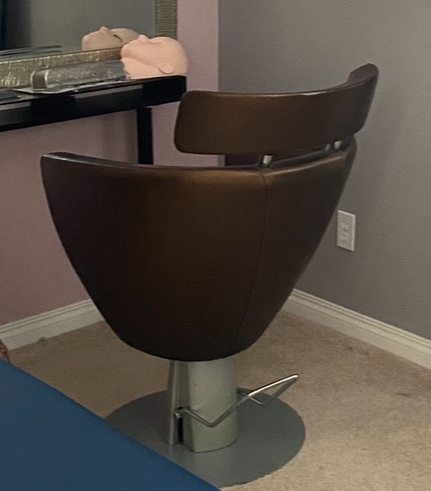 Salon Chair