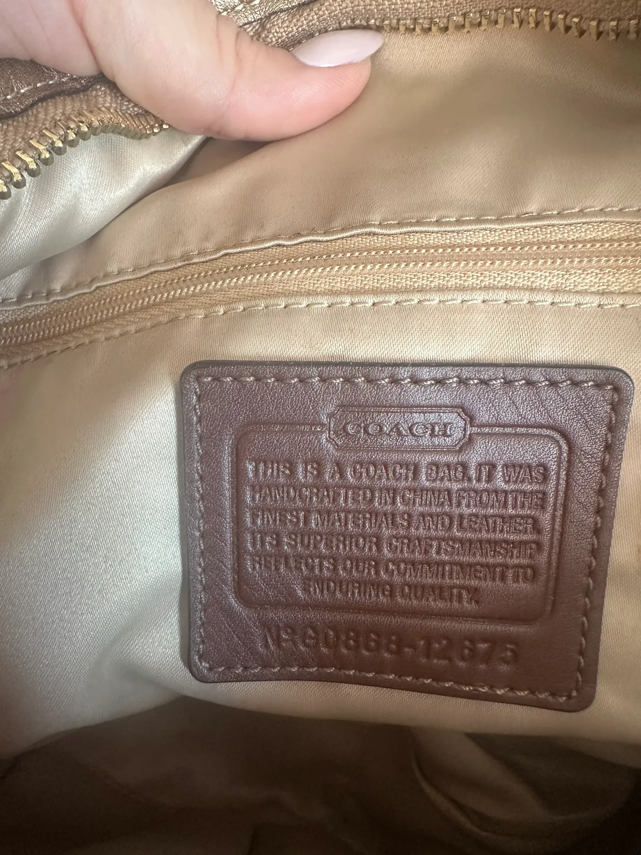 Coach Handbag image indicator(2)