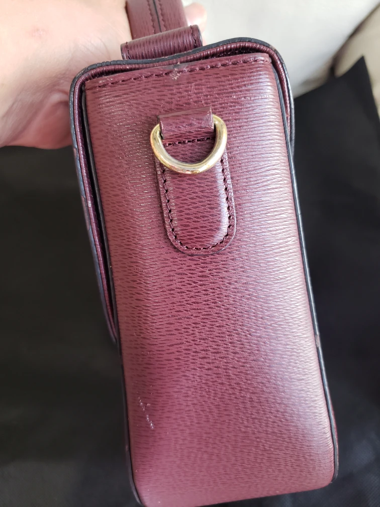 Louis Quatorze Burgundy Crossbody Bag - photo 5