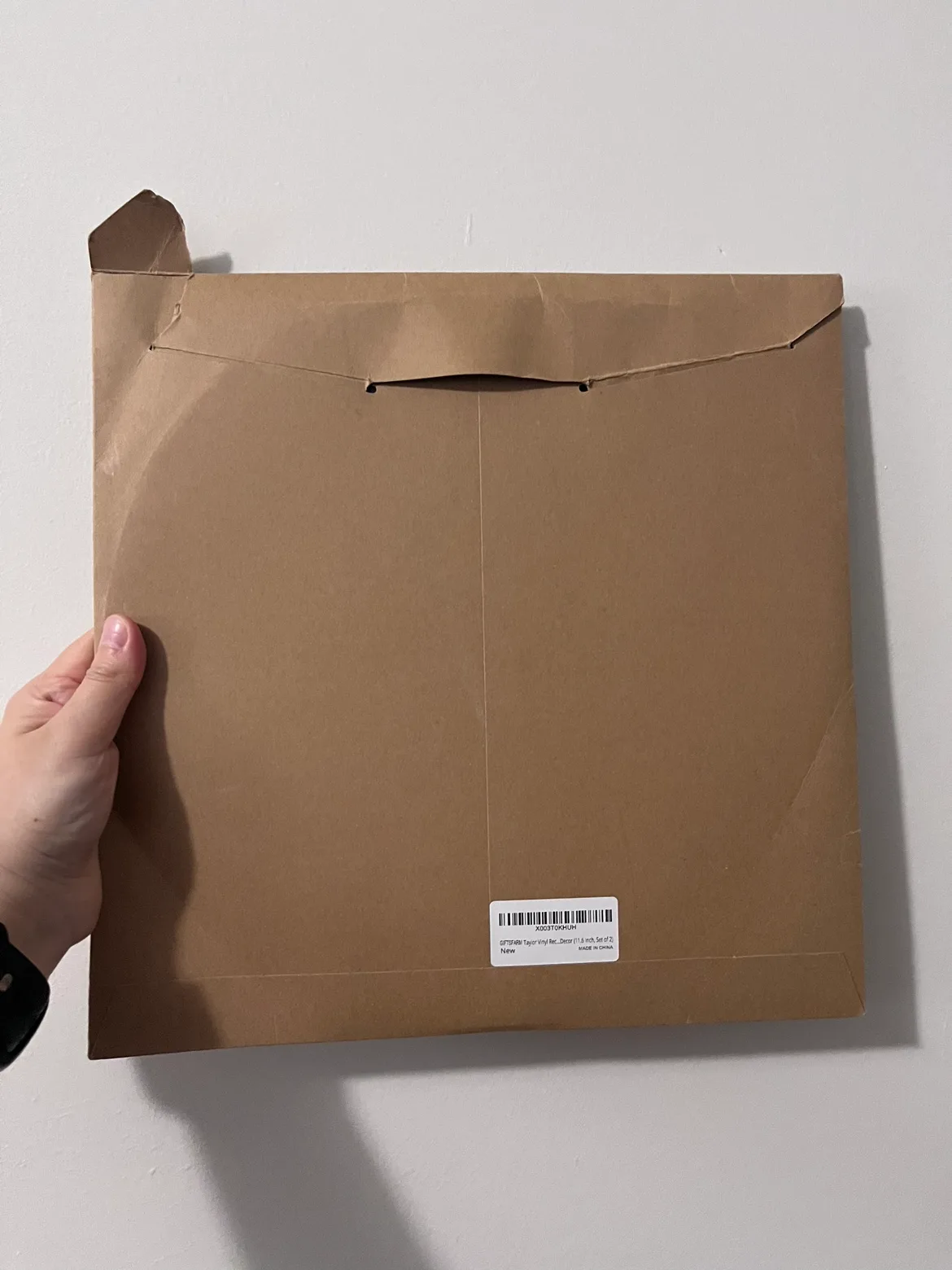 Taylor Swift Record wall decor (set of 2) image indicator(7)