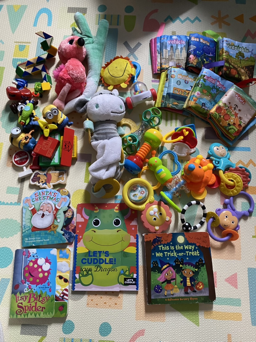 Baby toy and books bundle