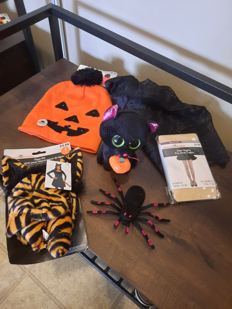 Moving sale ⚠️🚨  Halloween kit