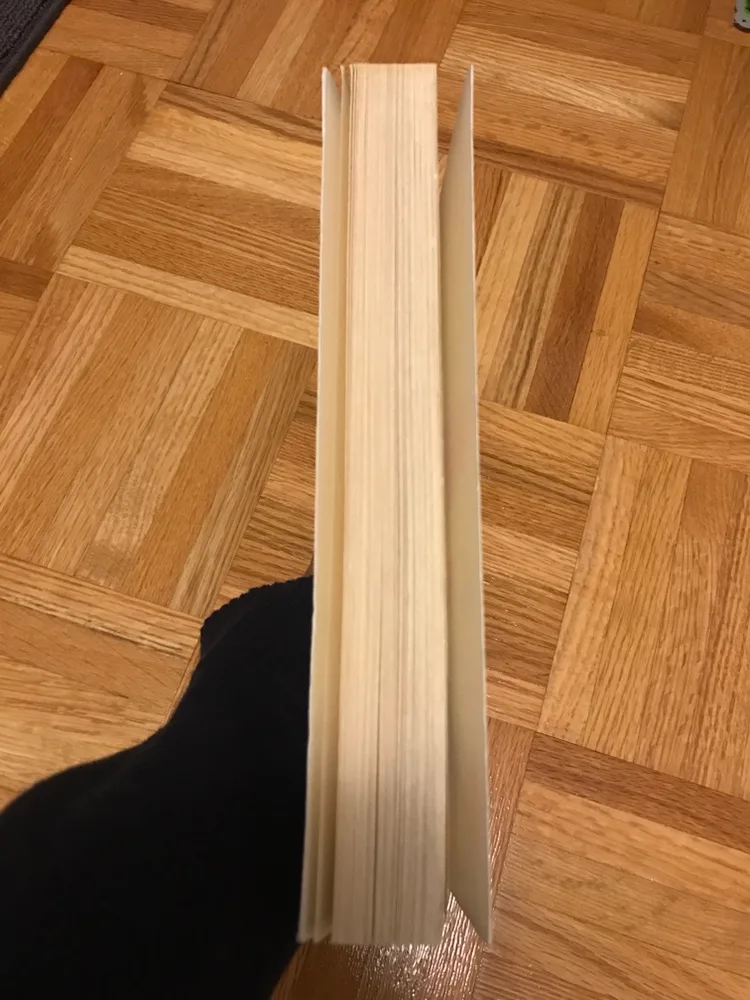 Book 📖: The Scapegoat - Daniel Pennac image indicator(4)